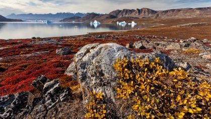 Herfstkleuren in de fjord